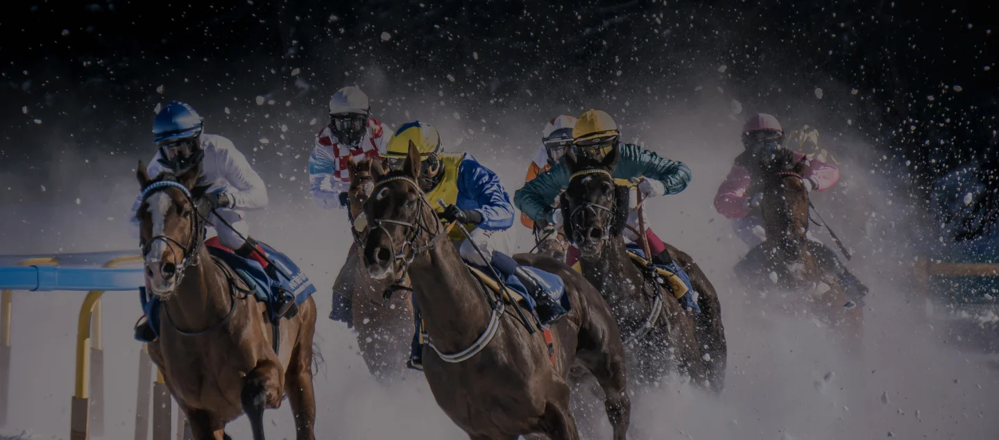 HORSEPLAY TAKES THE REINS WITH LOCALIZED, IMMERSIVE AD CAMPAIGN